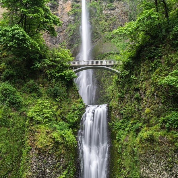 Cascades
